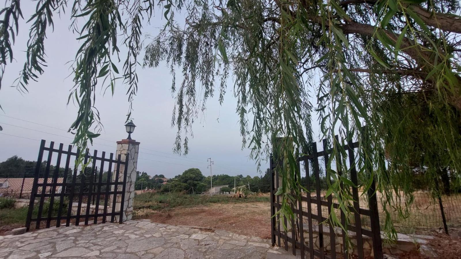 הוילה קאסטלמארה דל גולפו La Terrazza Su Pispisa מראה חיצוני תמונה