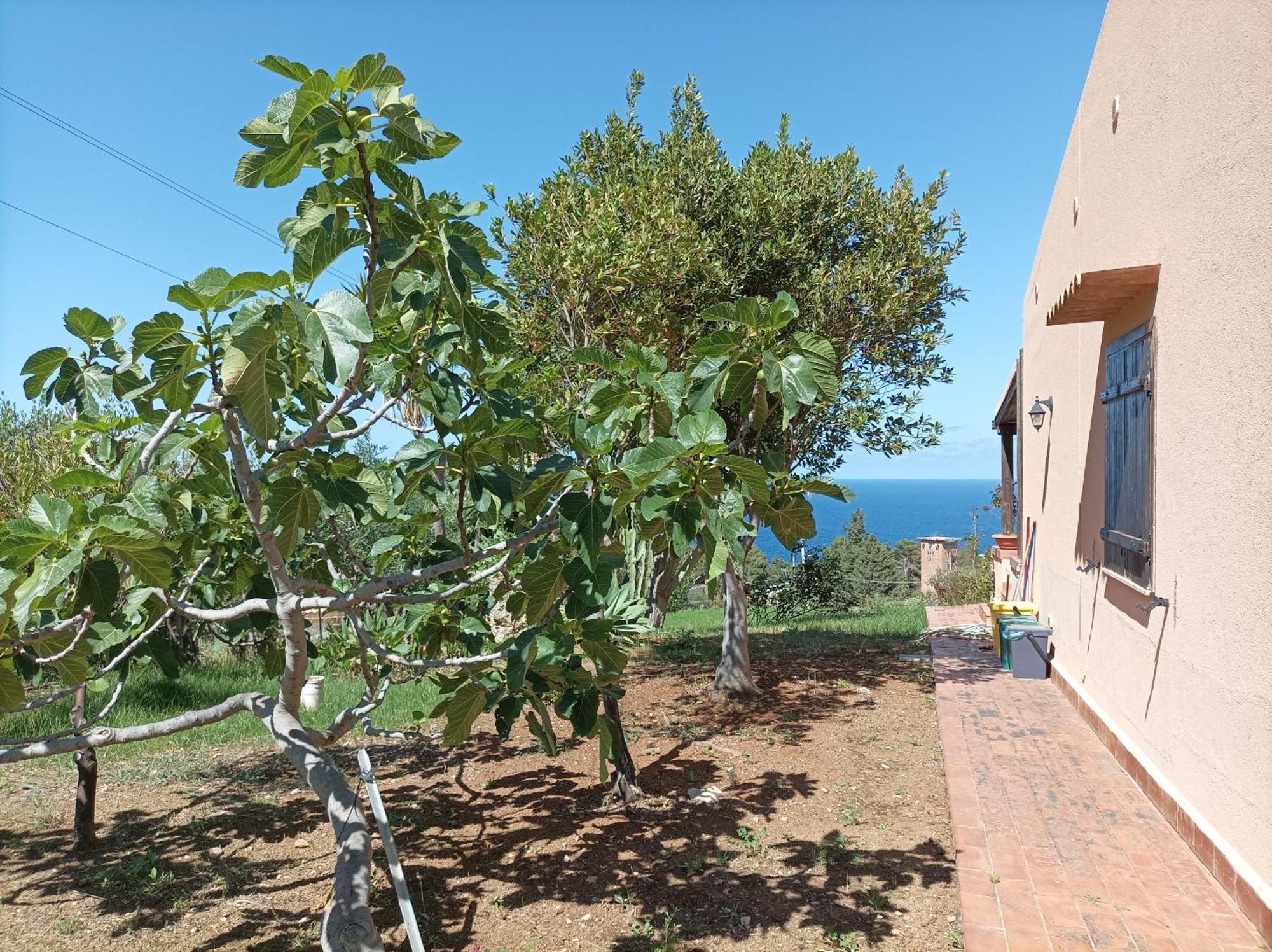 הוילה קאסטלמארה דל גולפו La Terrazza Su Pispisa מראה חיצוני תמונה